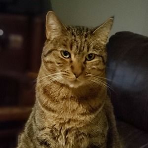 Meet your Posher, Christy